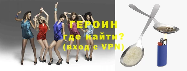 индика Арсеньев