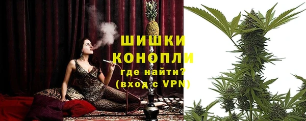 PSILOCYBIN Алзамай