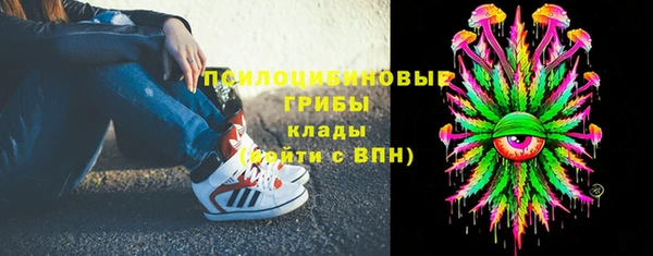 прущий лед Алексин
